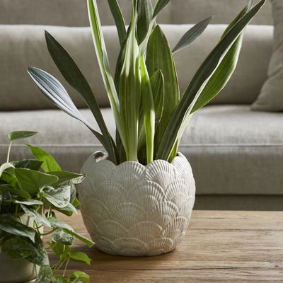 RM Pflanztopf Planter Shell