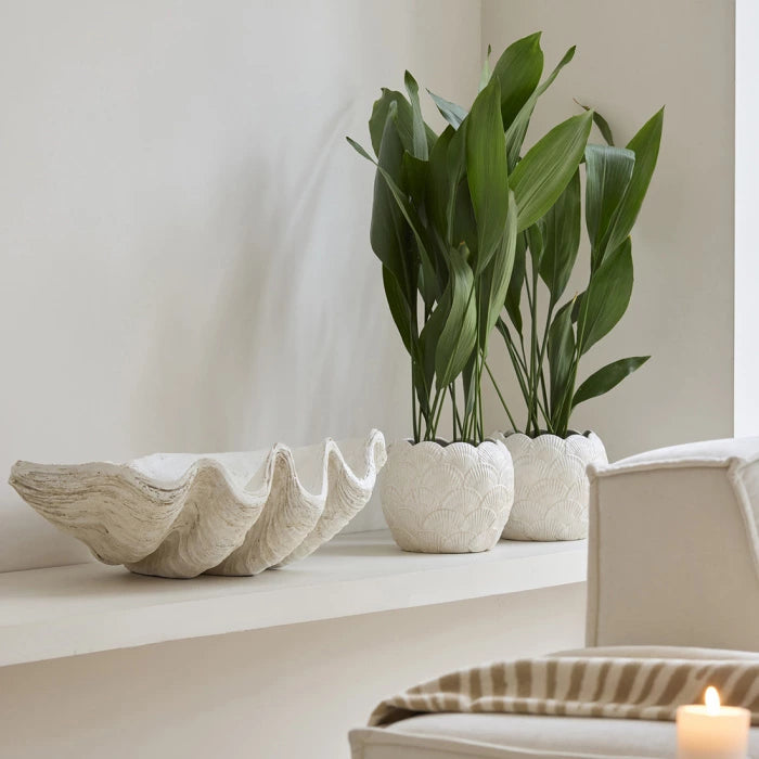 RM Pflanztopf Planter Shell