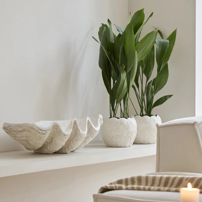 RM Pflanztopf Planter Shell