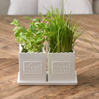 RM Küchen-Set My Fresh Herbs Kräutertopf Schöne Deko